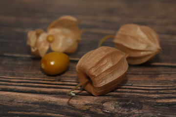 Physalis on a wooden background