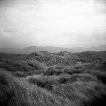 Oregon dunes in black and white