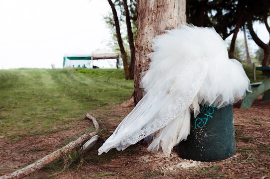 Trash the dress