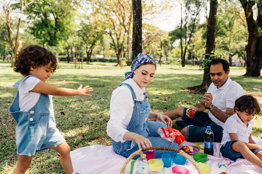 Family Picnic