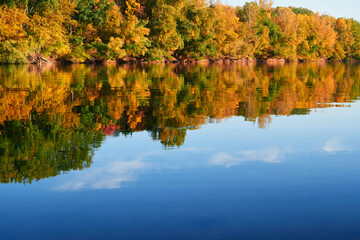 Fototapeta premium bright colorful autumn forest landscape, trees near river and blue sky