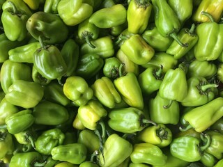 Obraz na płótnie Canvas Green chillies with bells.