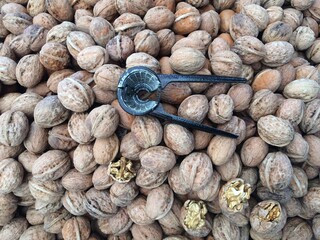 The offset of the walnuts and walnuts.