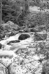 Swallow Falls bear Betws y Coed in North Wales in spring - obrazy, fototapety, plakaty