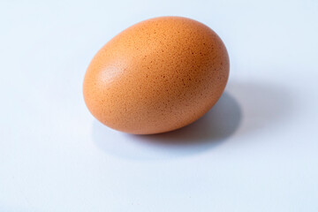 Single egg on white background