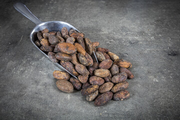 fèves de cacao dans une cuillère en métal
