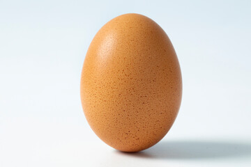 Single egg on white background