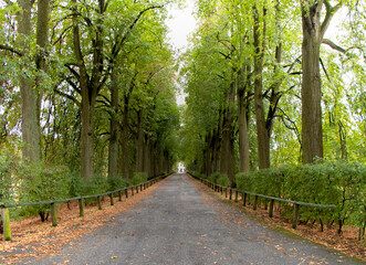 path in the park
