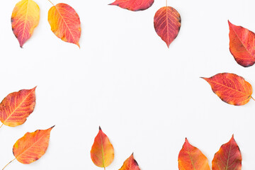 Flat lay frame with colorful autumn leaves on a white background