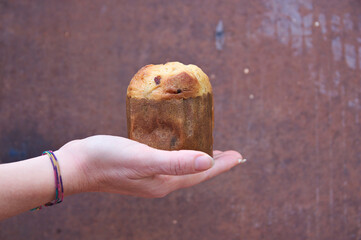 A young woman holds a typical Christmas panettone