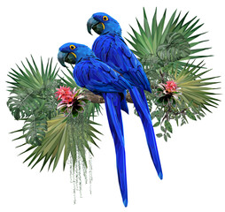 Vector Polygonal illustrate of Hyacinth macaw bird.