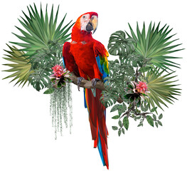 Vector polygonal illustrate of Scarlet macaw bird. © NPD stock