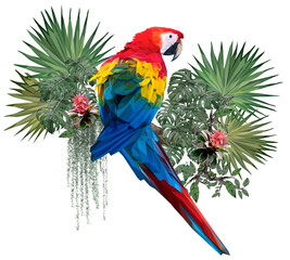 Vector polygonal illustrate of Scarlet macaw bird.