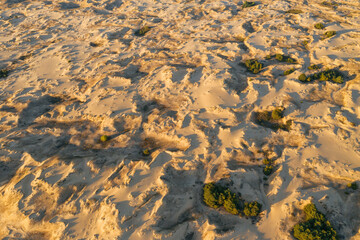 Desert sunset. Beautiful desert with warm colors. Top view Аleshkovskaya desert in Ukraine