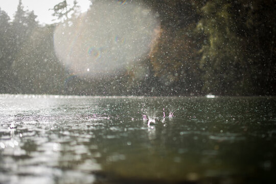 Raindrops landing on the surface of a river in the sun