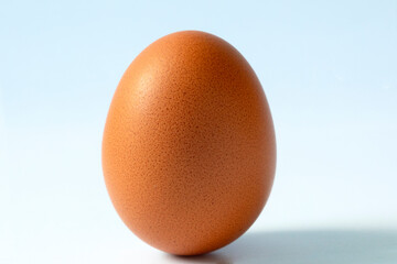 Single egg on white background