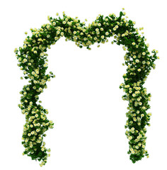 3d Render Brush Tree Isolated  on white