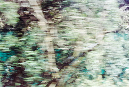 Blurry view of green trees moving outside of moving train