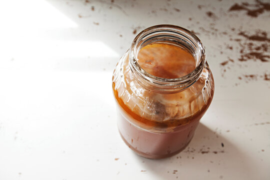 Home brew glass jar of kombucha tea with scoby