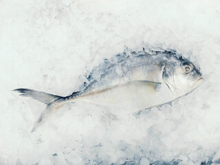 Fish frozen in ice