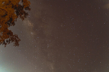Blue dark night sky with many stars  trees.Phuket Thailand. Milkyway cosmos background.