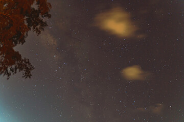 Fototapeta premium Blue dark night sky with many stars trees.Phuket Thailand. Milkyway cosmos background.