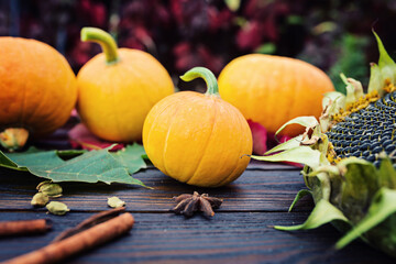 Pumpkins or Thanksgiving background with autumnal leaves and gourds on a rustic wooden table