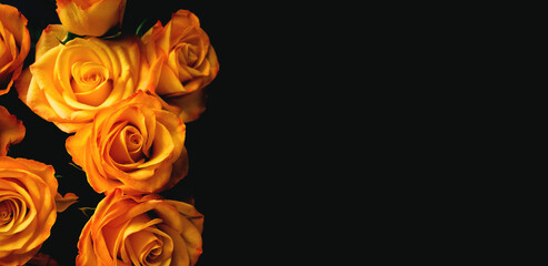 Bouquet of beautiful yellow roses close up on dark background.