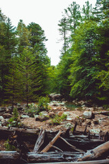 Salto del Agua Llovida