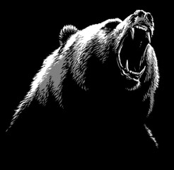 black and white linear draw bear illustration