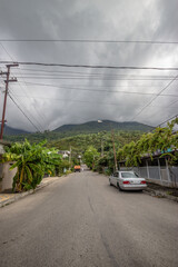 the city of Gagra, Abkhazia. beautiful urban nature of the southern city
