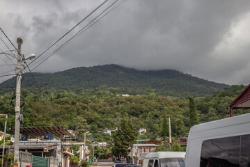 the city of Gagra, Abkhazia. beautiful urban nature of the southern city