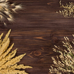 Spikelets of different plants on a wooden background. Place for an inscription. View from above.