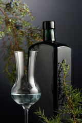 Juniper tincture or gin on a dark background.