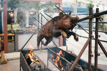 whole pig roasting on a spit