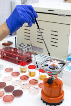 Laborant disinfecting tools in a lab