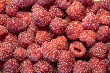 Freshly picked raspberry closeup. Healthy eating concept.