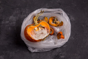 Rotten pumpkin. Mold on food. Food waste in a plastic bag