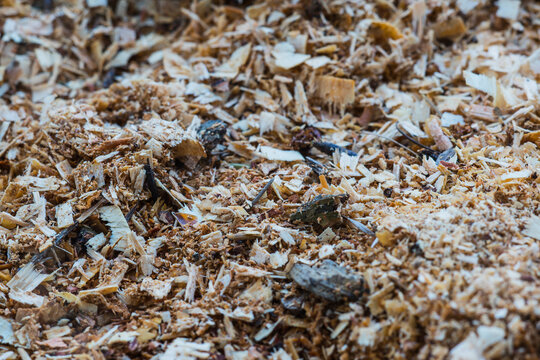 A pile pf wood chips