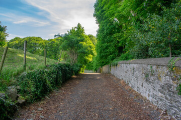 Green Irish Countryside on Sunny day