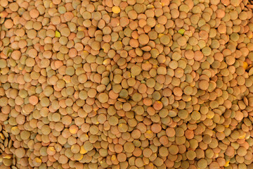 Raw organic lentil grains.Texture background of lentils. Healthy eating. Top view. Food background.