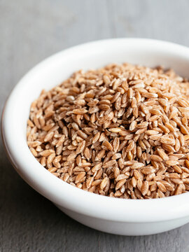 Emmer wheat