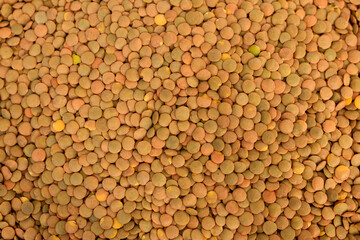 Raw organic lentil grains.Texture background of lentils. Healthy eating. Top view. Food background.
