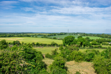 Green Irish Countryside on Sunny day