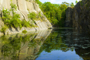 Obraz premium Small pond on the forest in summer