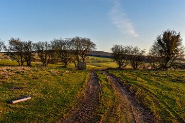 Fototapeta premium Green Irish Countryside on Sunny day