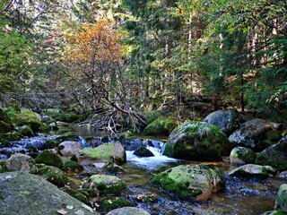 Czech Republic-sluice on the river Elbe in Giant Mountains