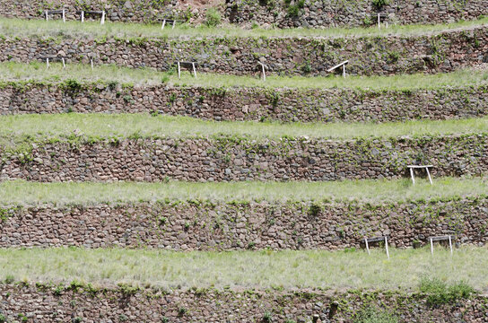 Inca's agricultural terraces