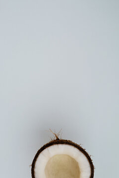 The hairy coconut half