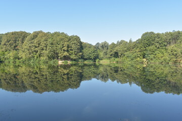 Fototapeta premium Reflection of trees in the water